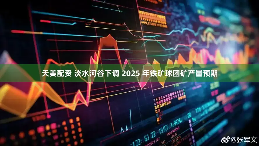 天美配资 淡水河谷下调 2025 年铁矿球团矿产量预期