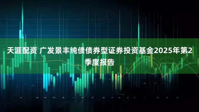 天涯配资 广发景丰纯债债券型证券投资基金2025年第2季度报告