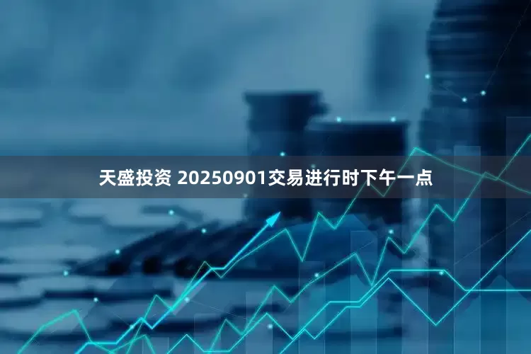 天盛投资 20250901交易进行时下午一点
