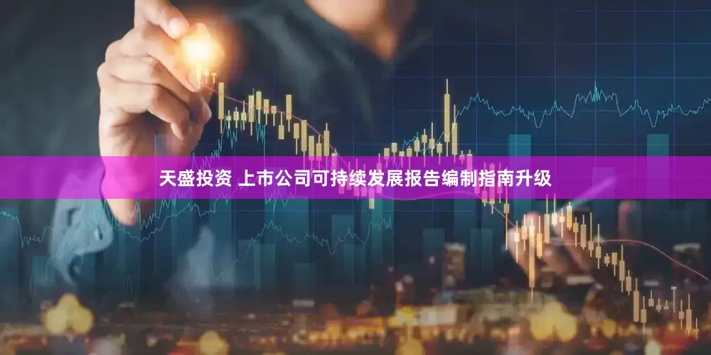 天盛投资 上市公司可持续发展报告编制指南升级